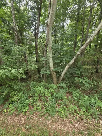 0 Callen Cove Athens TN 37303