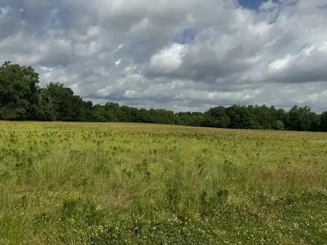 0 Cal Durham Road Bethpage TN 37022