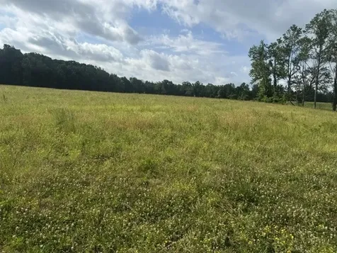 0 Bob Perry Road Bethpage TN 37022