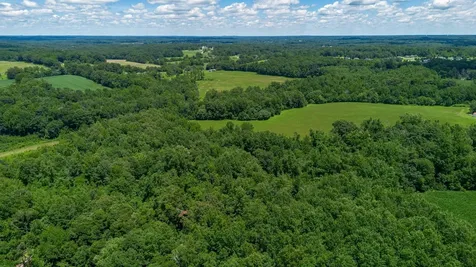 0 Bob Perry Road Bethpage TN 37022