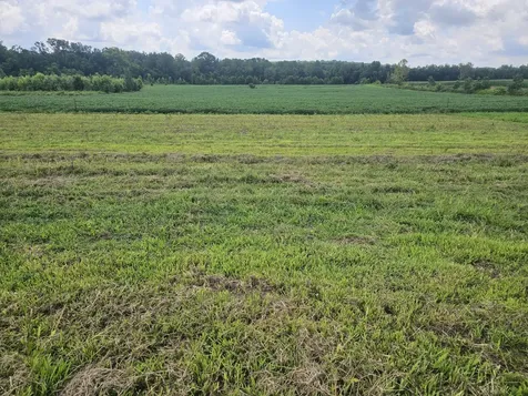 0 Col James Hardin Road Clifton TN 38425