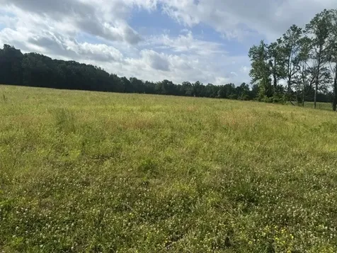 0 Cal Durham Road Bethpage TN 37022