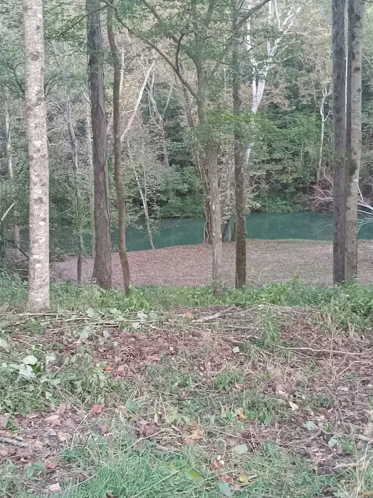6750 Spencer Road Rock Island TN 38581
