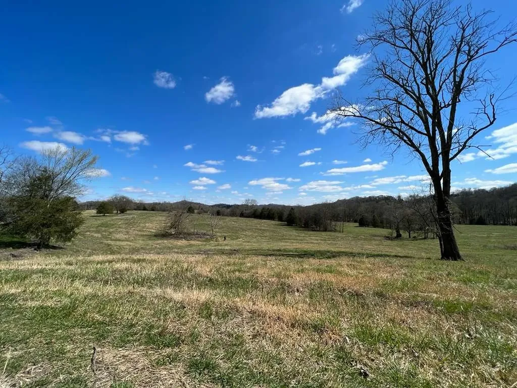 290 Gladdice Road Pleasant Shade TN 37145