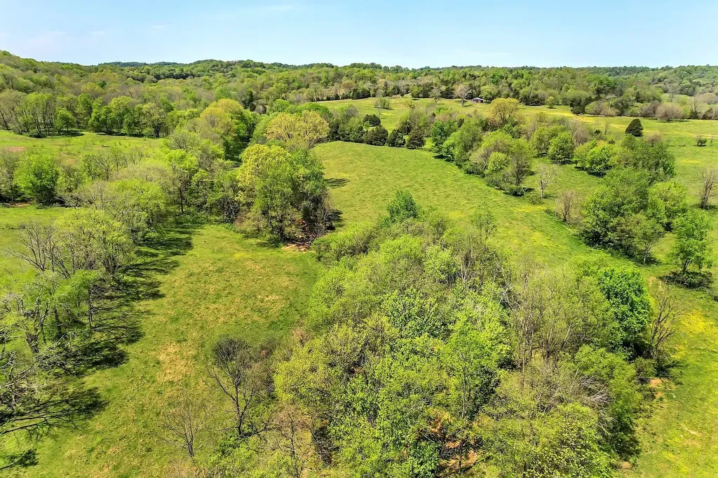 290 Gladdice Road Pleasant Shade TN 37145