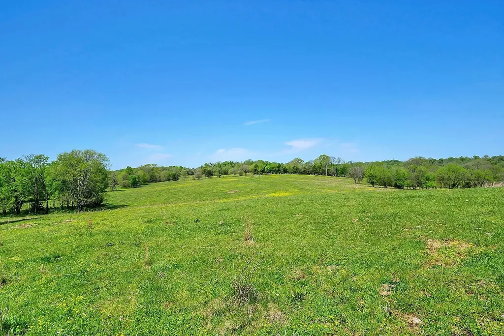 290 Gladdice Road Pleasant Shade TN 37145