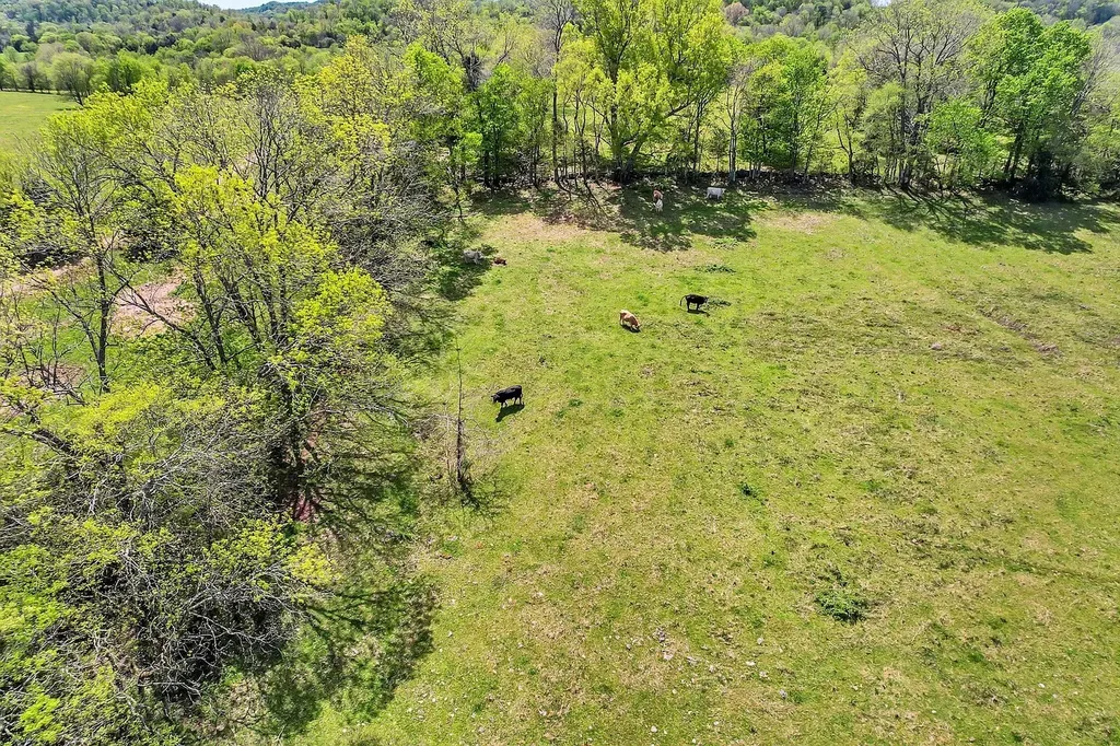 290 Gladdice Road Pleasant Shade TN 37145