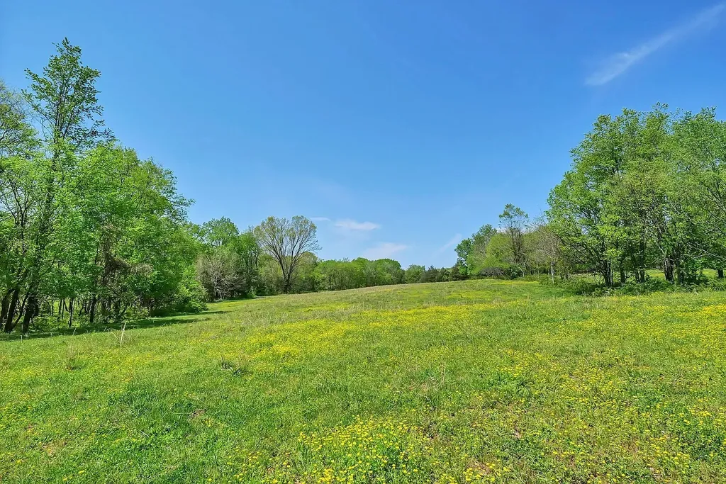 290 Gladdice Road Pleasant Shade TN 37145