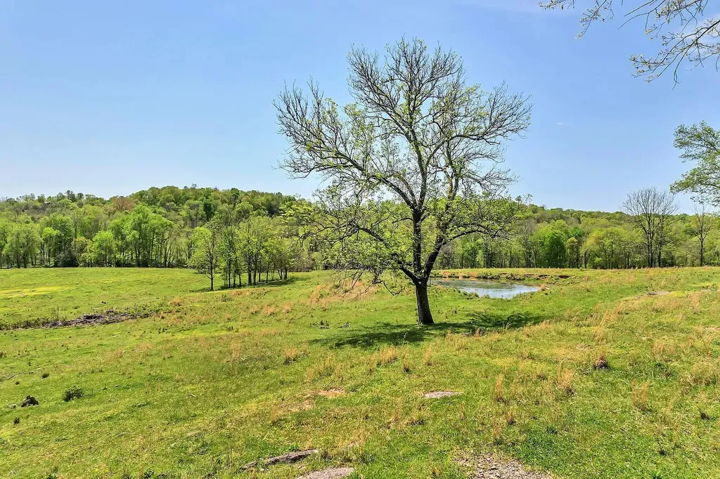 290 Gladdice Road Pleasant Shade TN 37145