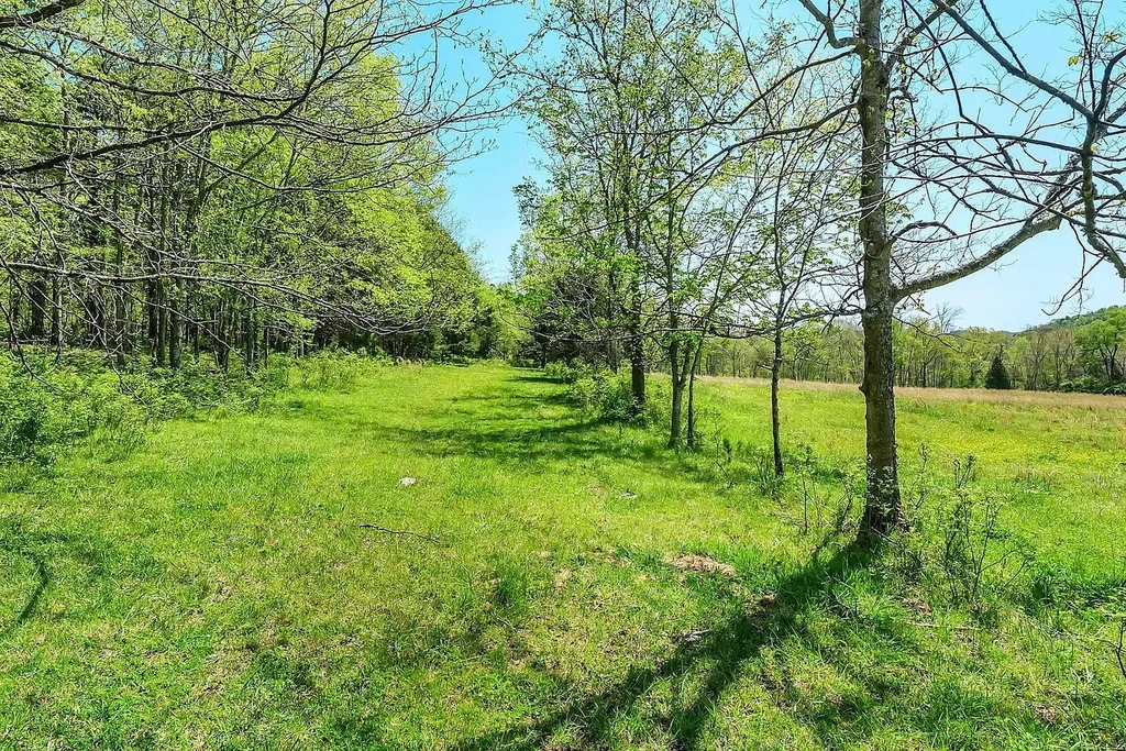 290 Gladdice Road Pleasant Shade TN 37145