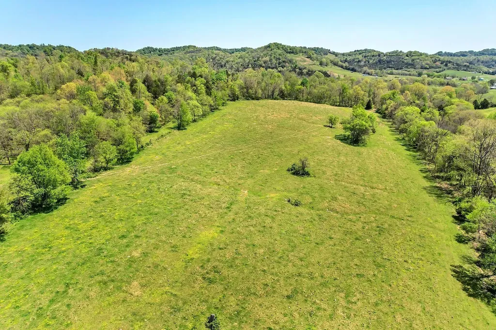 290 Gladdice Road Pleasant Shade TN 37145