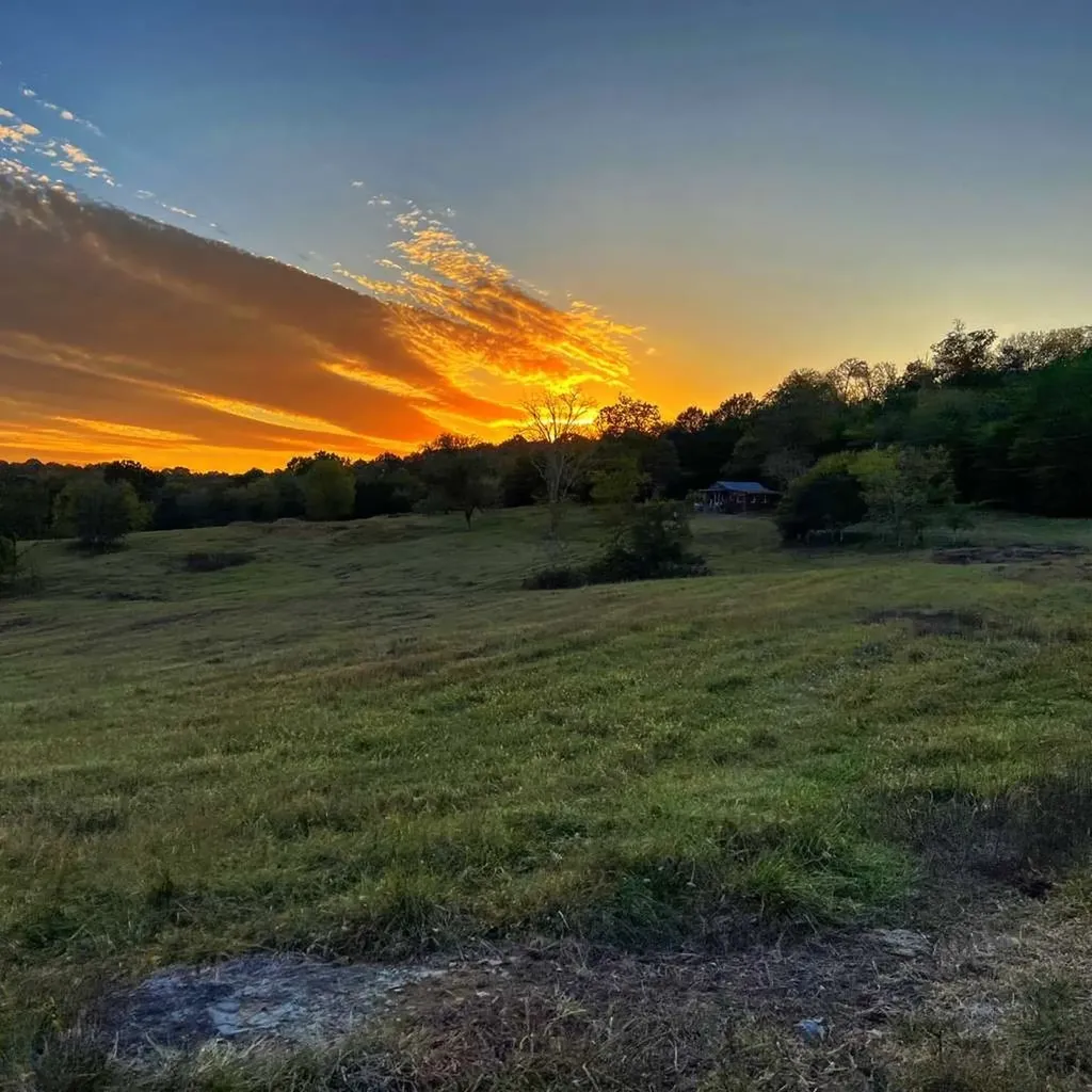 290 Gladdice Road Pleasant Shade TN 37145