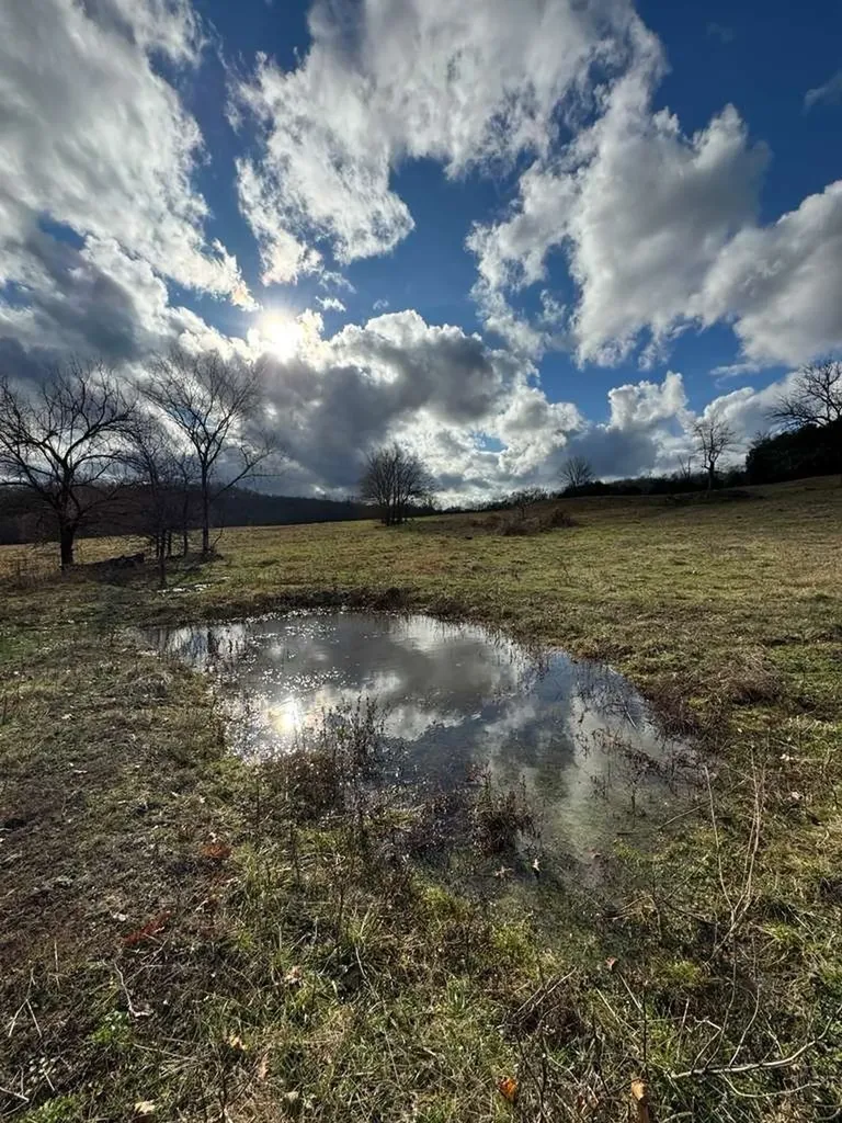 290 Gladdice Road Pleasant Shade TN 37145