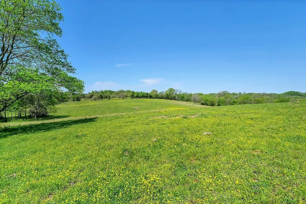 290 Gladdice Road Pleasant Shade TN 37145
