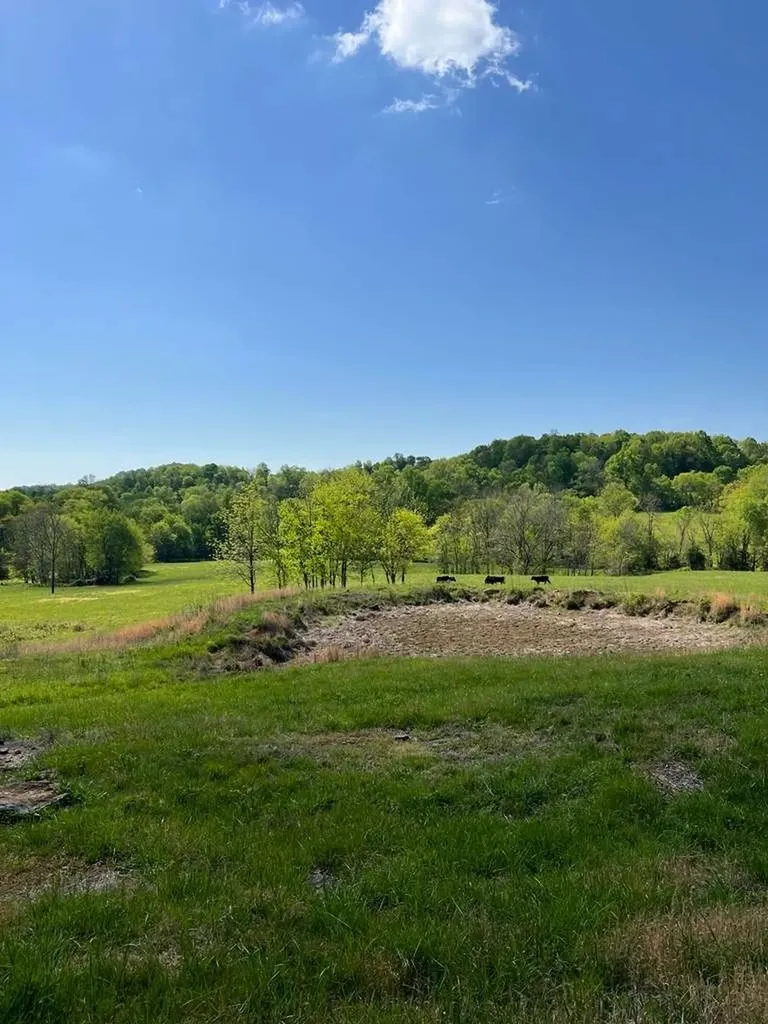 290 Gladdice Road Pleasant Shade TN 37145