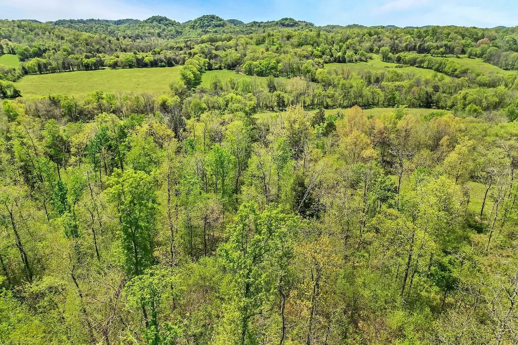 290 Gladdice Road Pleasant Shade TN 37145