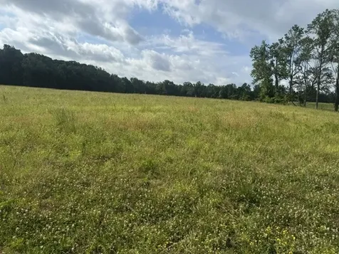 0 W Mt Vernon Road Bethpage TN 37022