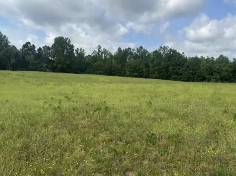 0 W Mt Vernon Road Bethpage TN 37022