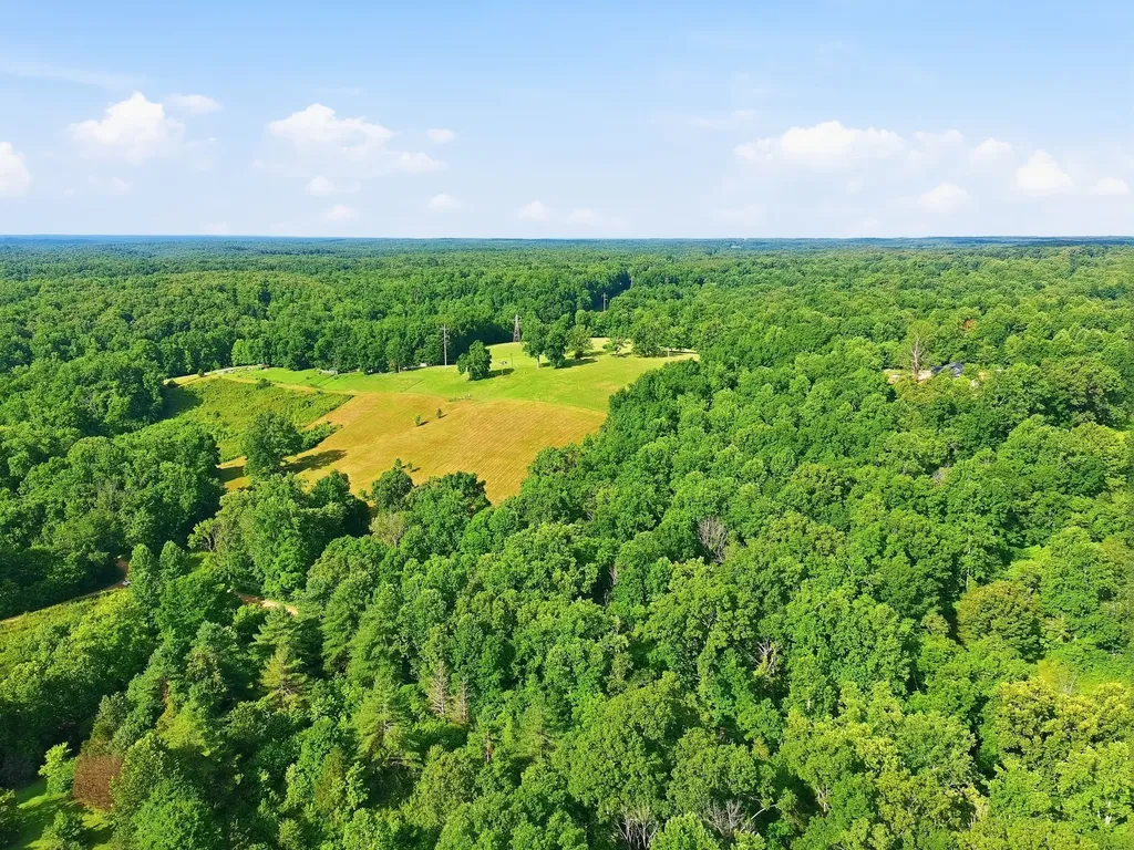 0 Alex Goines Road Lyles TN 37098