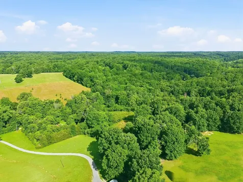 0 Alex Goines Road Lyles TN 37098