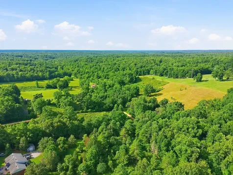0 Alex Goines Road Lyles TN 37098