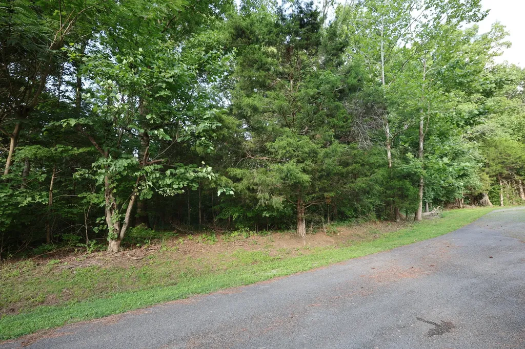 21 Holcomb Circle Kingston Springs TN 37082