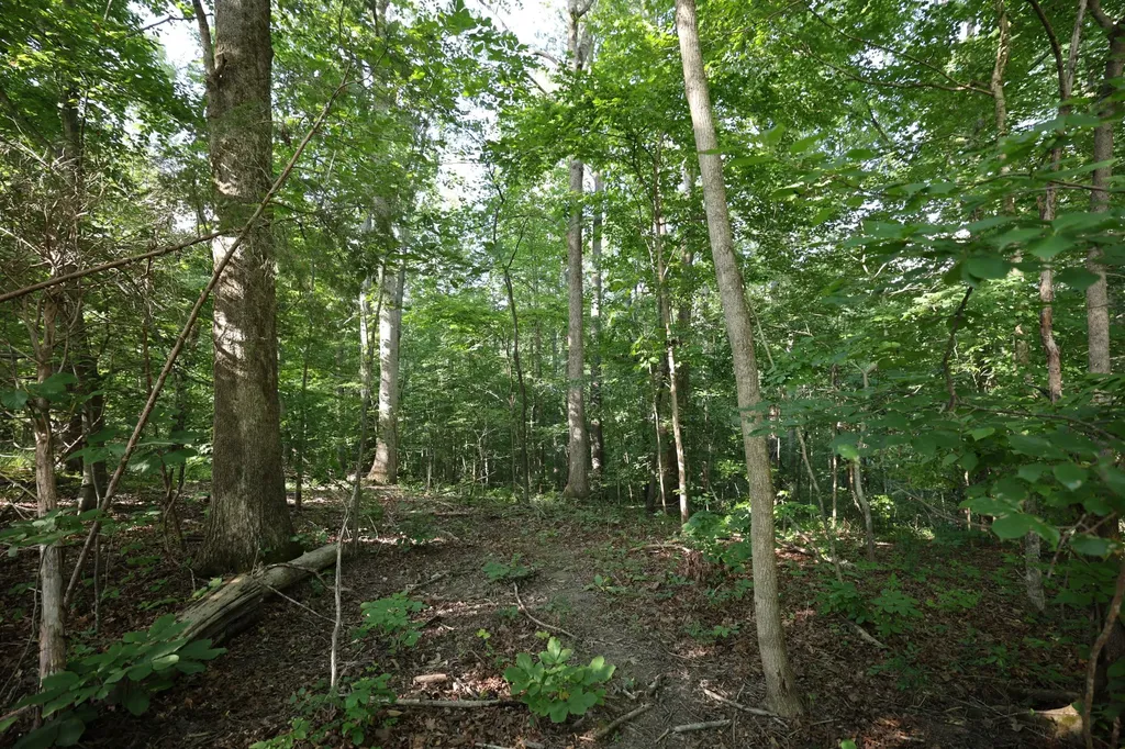 21 Holcomb Circle Kingston Springs TN 37082