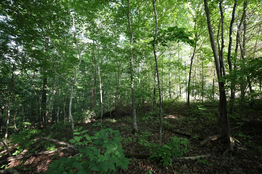 21 Holcomb Circle Kingston Springs TN 37082