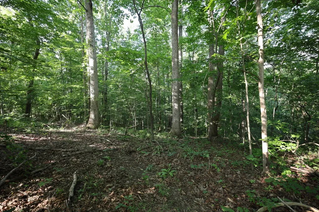 21 Holcomb Circle Kingston Springs TN 37082