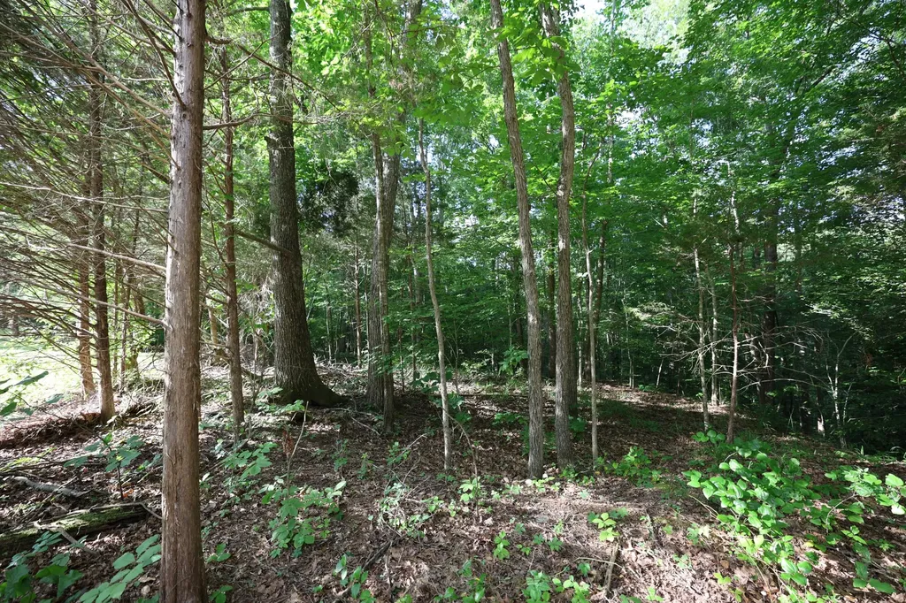 21 Holcomb Circle Kingston Springs TN 37082