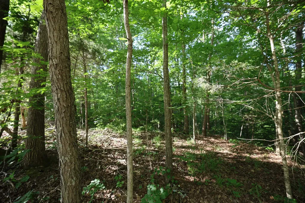 21 Holcomb Circle Kingston Springs TN 37082