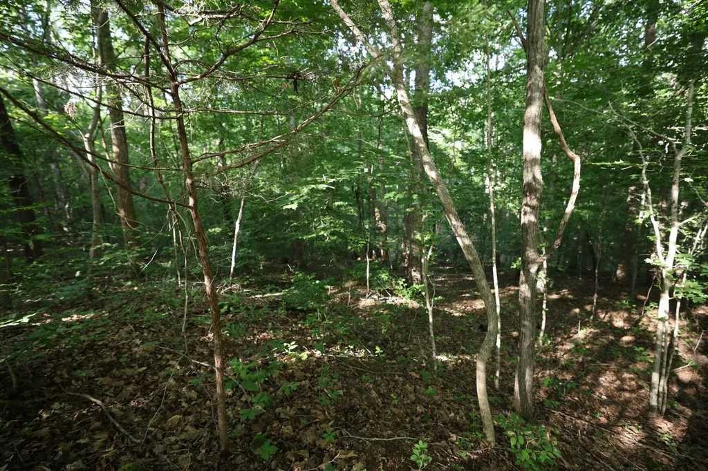 21 Holcomb Circle Kingston Springs TN 37082
