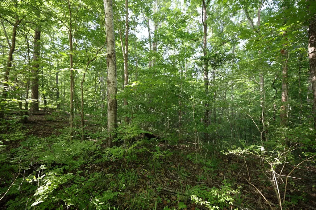 21 Holcomb Circle Kingston Springs TN 37082