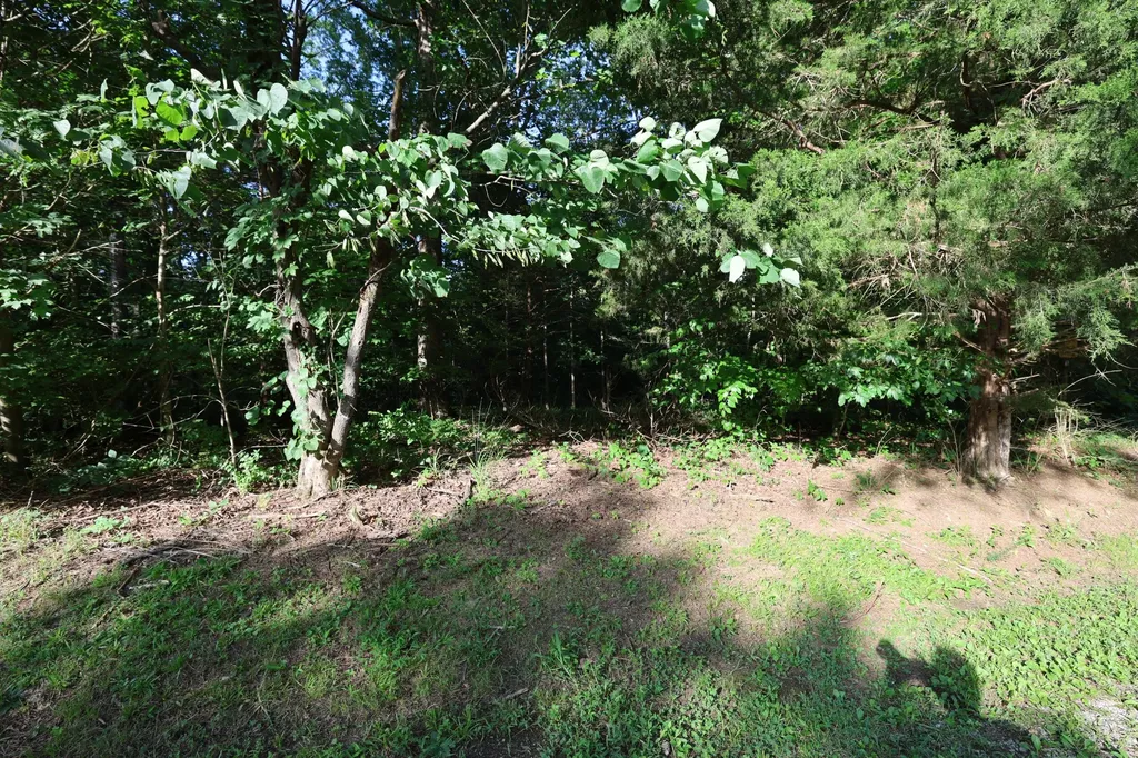 21 Holcomb Circle Kingston Springs TN 37082