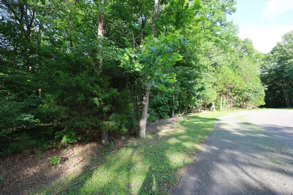 21 Holcomb Circle Kingston Springs TN 37082