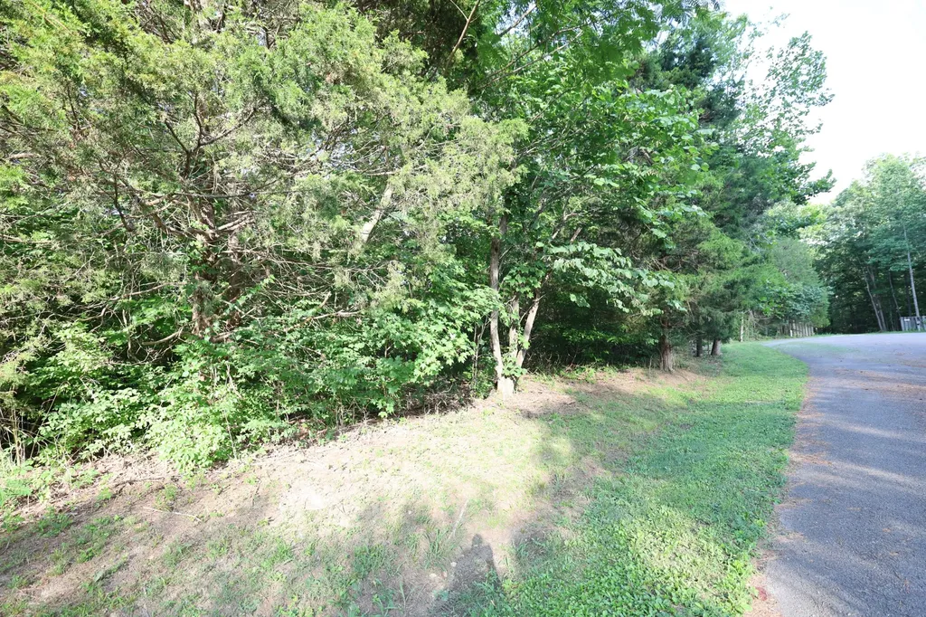 21 Holcomb Circle Kingston Springs TN 37082