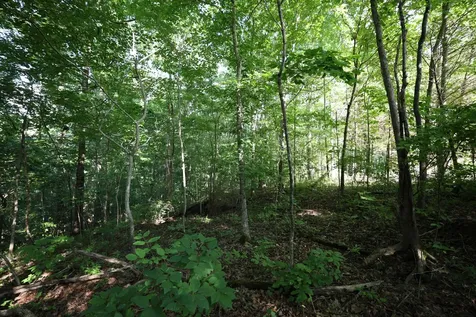 21 Holcomb Circle Kingston Springs TN 37082