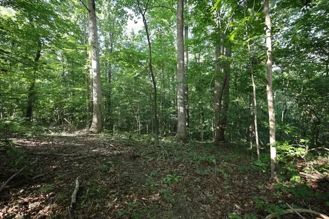 21 Holcomb Circle Kingston Springs TN 37082