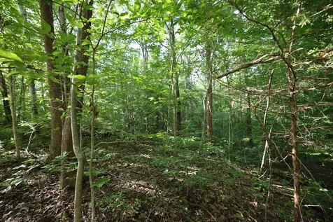21 Holcomb Circle Kingston Springs TN 37082