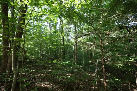 21 Holcomb Circle Kingston Springs TN 37082