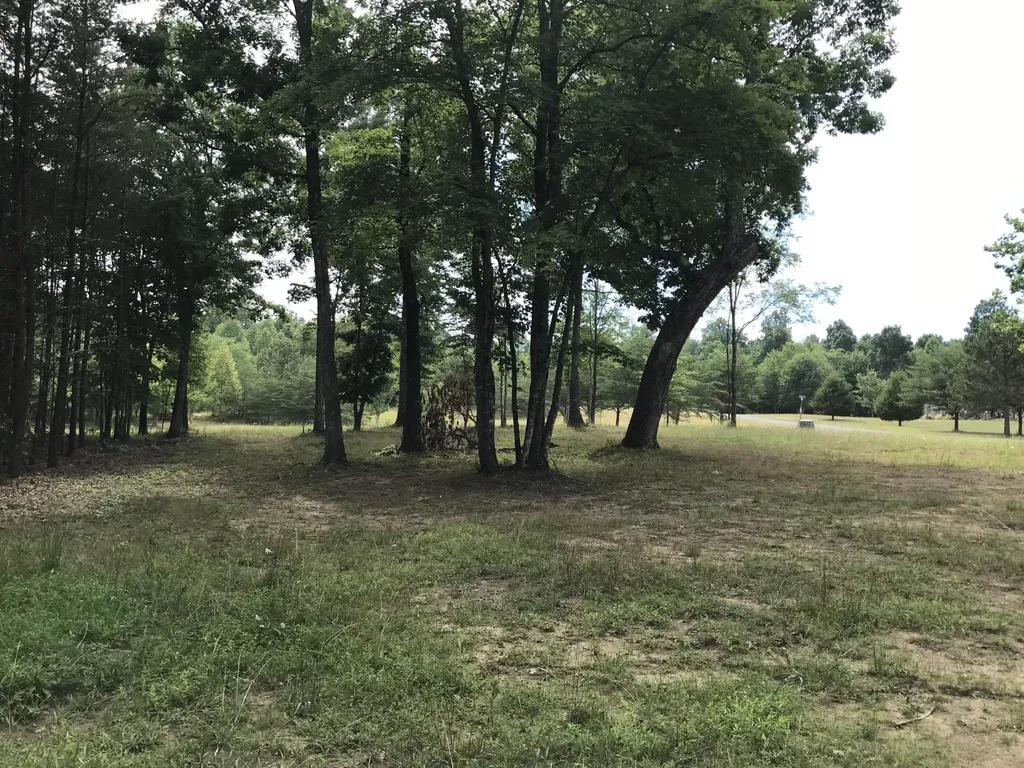 0 Quail Trail Dunlap TN 37327