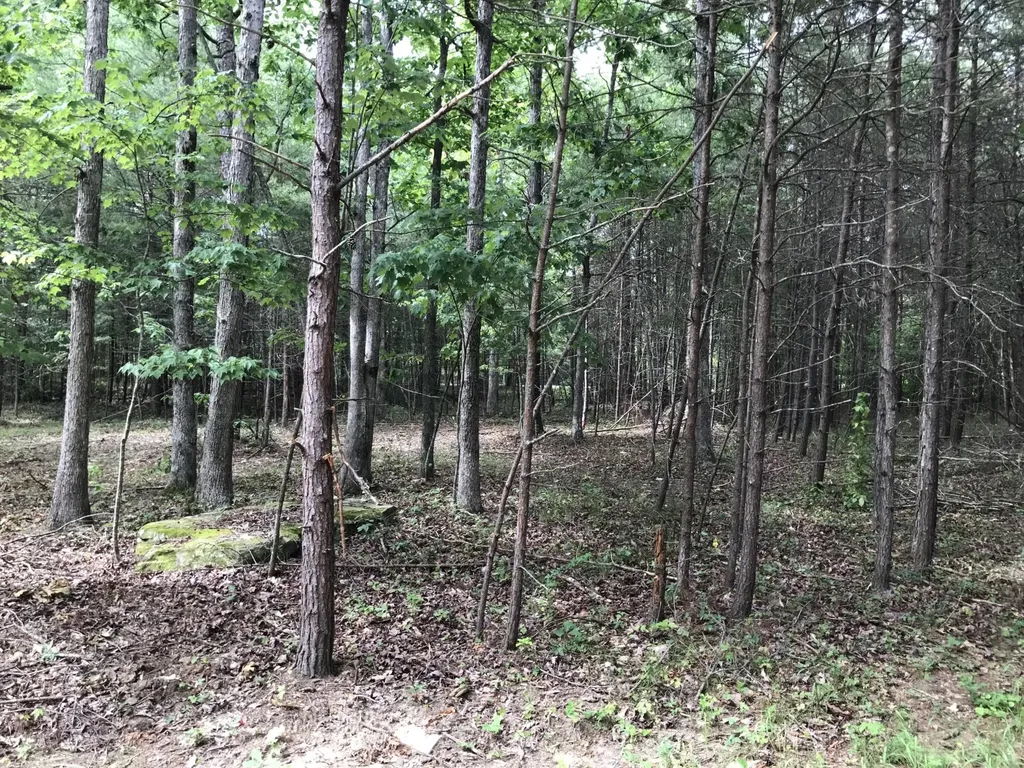 0 Quail Trail Dunlap TN 37327