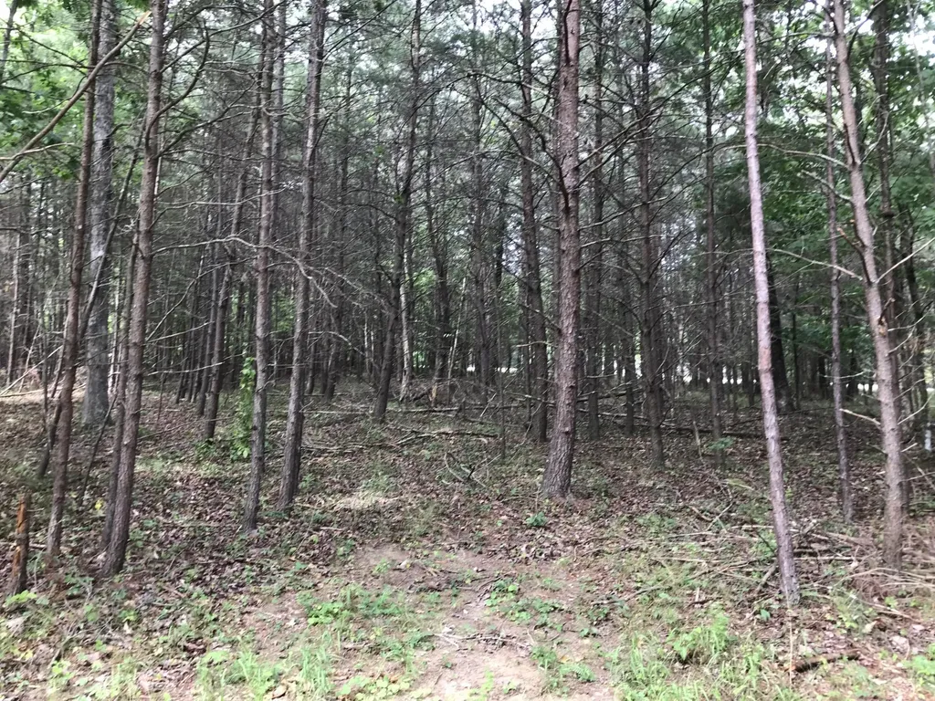 0 Quail Trail Dunlap TN 37327