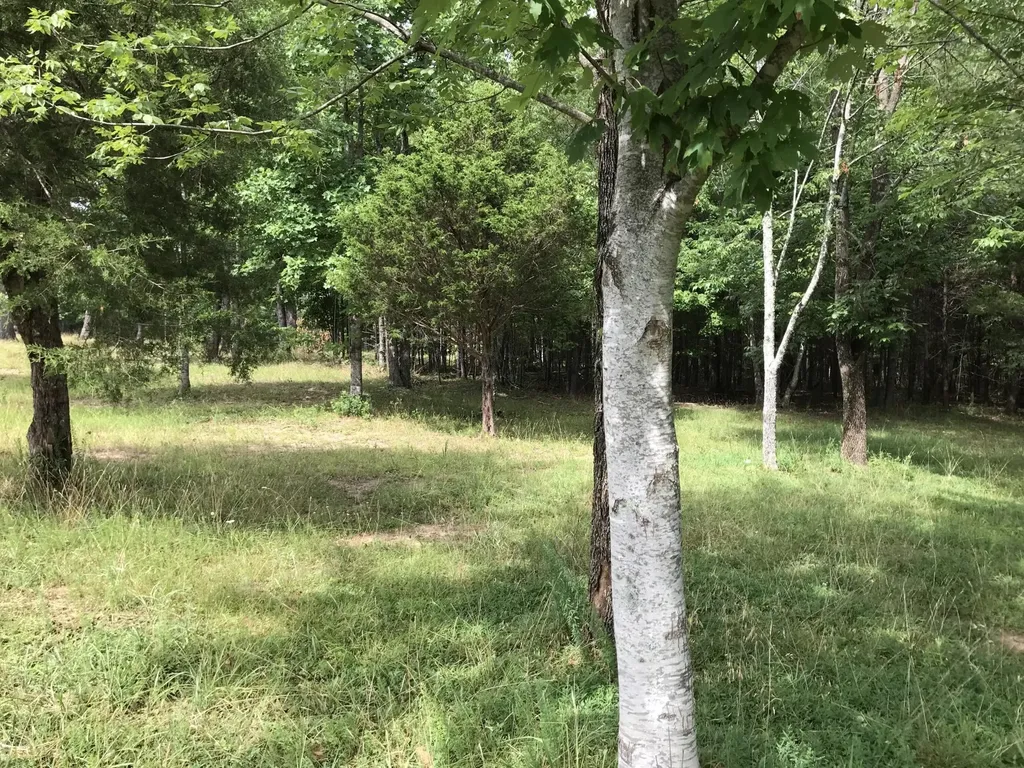 0 Quail Trail Dunlap TN 37327