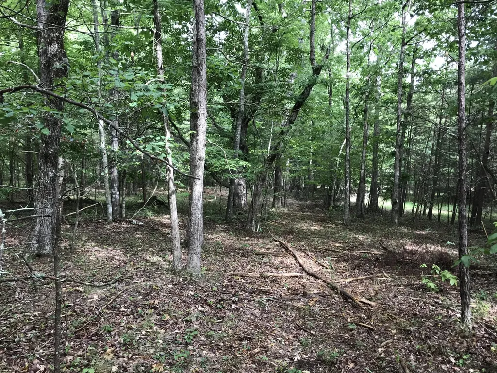 0 Quail Trail Dunlap TN 37327