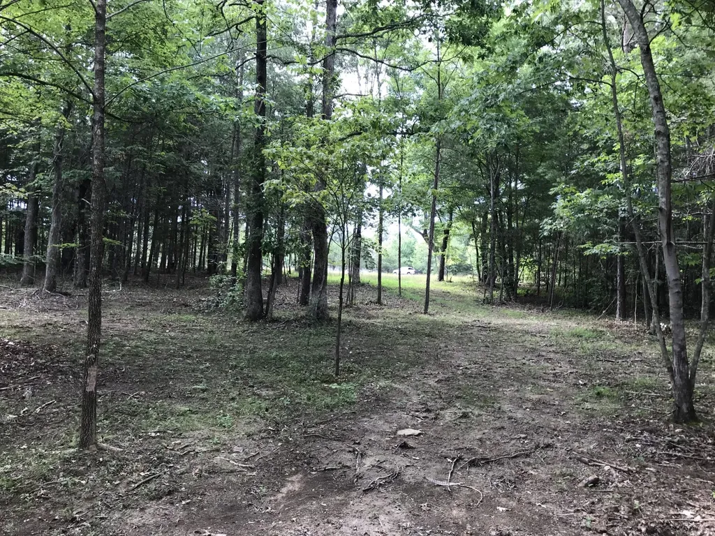 0 Quail Trail Dunlap TN 37327