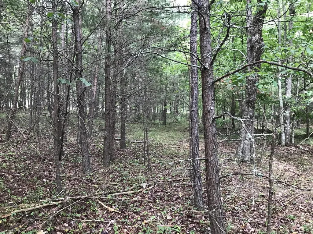 0 Quail Trail Dunlap TN 37327