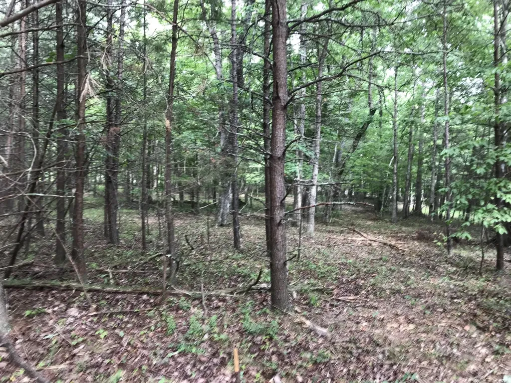 0 Quail Trail Dunlap TN 37327
