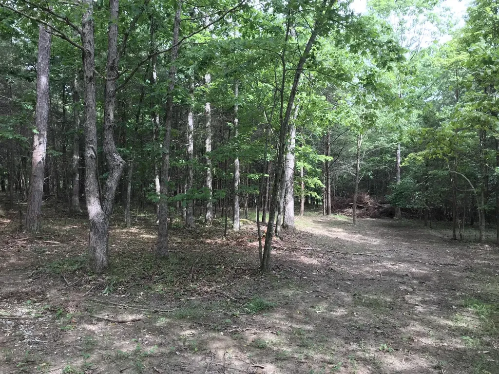 0 Quail Trail Dunlap TN 37327