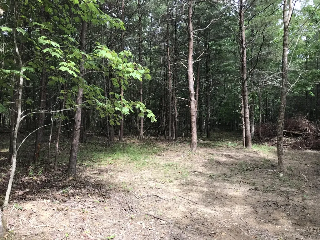 0 Quail Trail Dunlap TN 37327